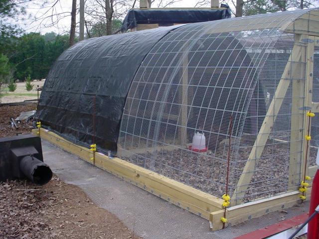 A large outdoor DIY chicken coop features a curved wire mesh roof and sturdy wooden frame. The coop, with its black tarp partially covering the roof, includes a small water feeder inside. Surrounded by trees and greenery, it offers an ideal setting for happy hens.