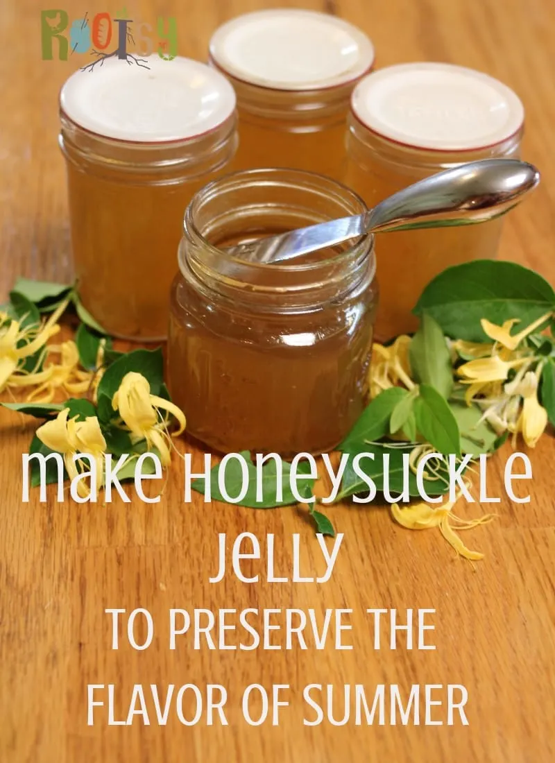 image of four jars of honeysuckle jelly surrounded by honeysuckle flowers. One jar is open and has a small jelly spreader in it.