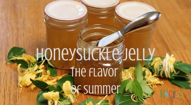 image of four jars of honeysuckle jelly surrounded by honeysuckle flowers