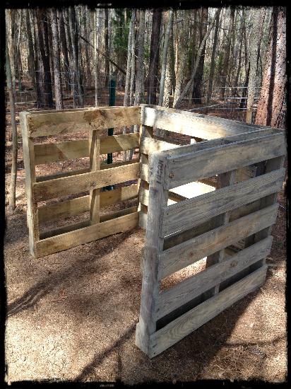 A compost bin made from wooden pallets is set up in a wooded area, cleverly repurposed like a DIY chicken coop. The pallets form an open rectangular frame, blending seamlessly with the trees and forest ground in the background.