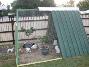 A small triangular chicken coop, crafted in a DIY style with green metal sheets and mesh, encloses several white chickens. Inside, two potted plants add charm. The coop rests on a grassy yard, with a wooden fence in the background.