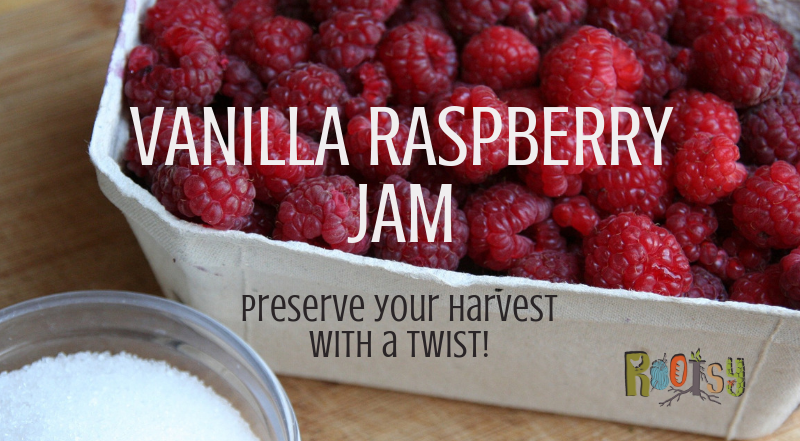 Image of fresh raspberries in white carton with a small bowl of sugar for making raspberry jam