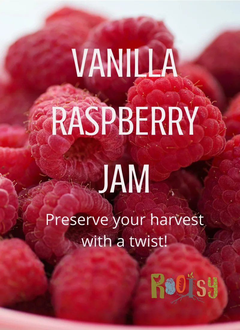 image of bowl of raspberries with the words Vanilla Raspberry Jam on it