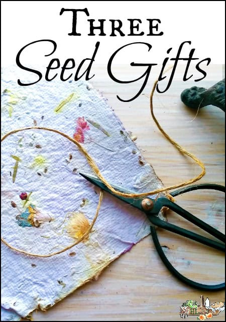 A handmade seed paper card on a wooden table, adorned with colorful pressed flowers and seeds. A pair of scissors and a twine circle are placed beside it. The text "Three Seed Gifts" is displayed at the top.