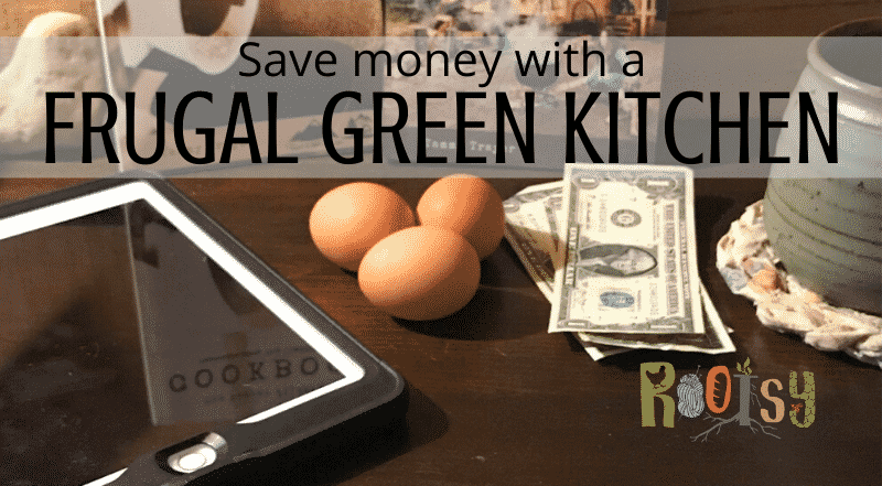 Save money and the environment with a frugal green kitchen! Cut back on not only your grocery bill, but the trash bill too. - Rootsy