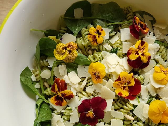 A bowl of green pasta topped with edible flowers, spinach leaves, and shaved cheese offers a fresh take on spring salad recipes. The vibrant blooms in red, yellow, and orange contrast with the green pasta and leafy greens for a colorful presentation.