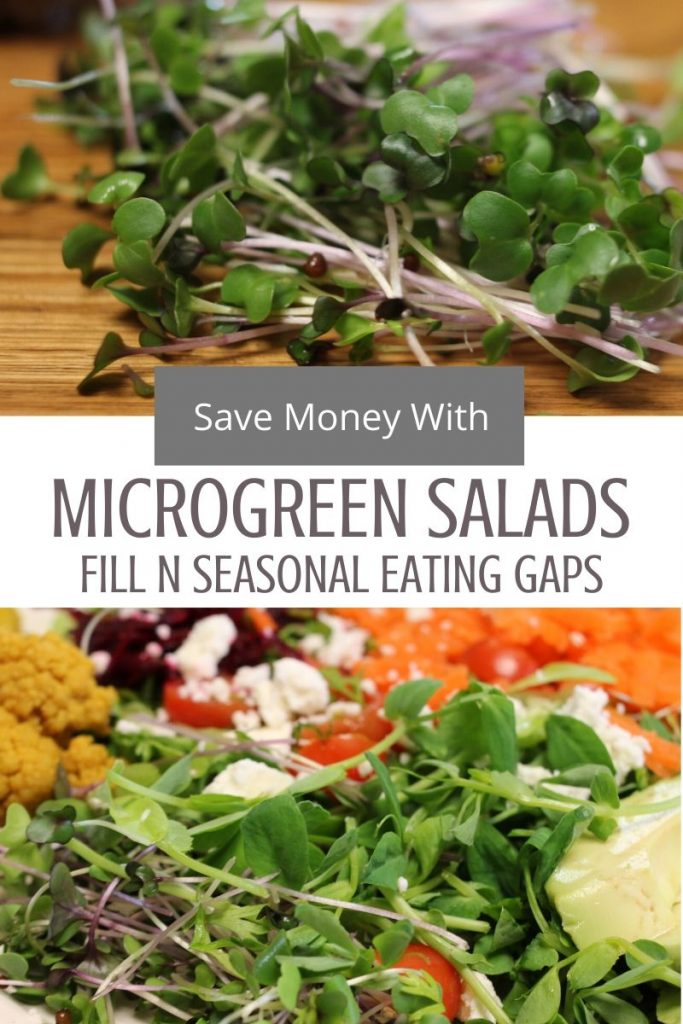 collage image of cut microgreens and microgreen salad