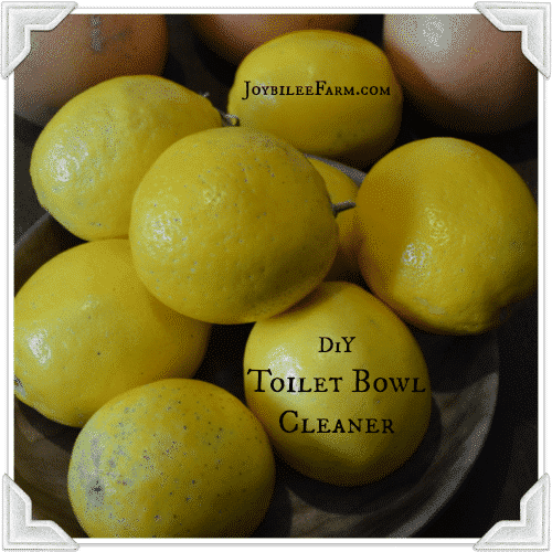 A collection of ripe lemons piled together with a text overlay that reads "JoybileeFarm.com DIY Toilet Bowl Cleaner." Experience money-saving solutions for a fresh, eco-friendly bathroom clean.