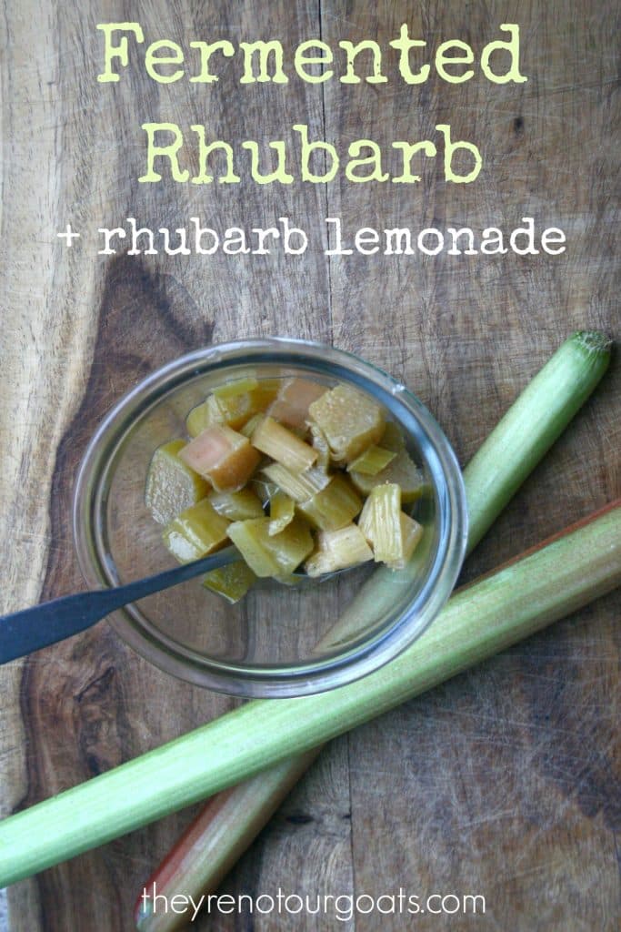 A jar of diced, fermented rhubarb with a spoon sits on a wooden surface, alongside two stalks of fresh rhubarb. The text reads "Fermented Rhubarb + rhubarb lemonade," showcasing creative ways to preserve and use rhubarb. Visit theyrenotourgoats.com for more ideas.