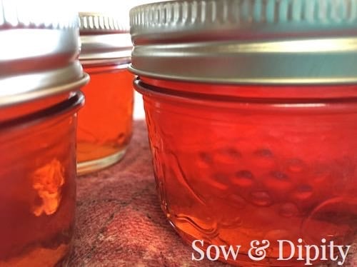 Close-up of three glass jars filled with vibrant red jelly, each sealed with a metal lid. The jars rest on a rustic textured surface, radiating the charm of homemade creations. The words "Sow & Dipity" and "Make Flower Jellies" appear in the lower right corner.