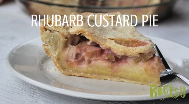 A slice of rhubarb custard pie on a white plate with a fork and text overlay. 