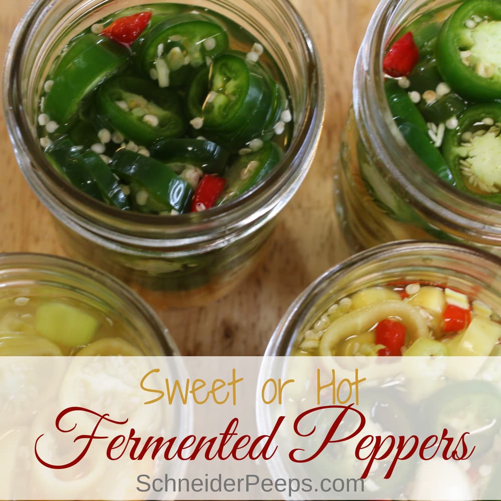 Top view of four jars filled with sliced green and red peppers, revealing seeds and liquid. A text overlay reads "Sweet or Hot Fermented Peppers," capturing the vibrant essence of fermented vegetables. The website name "SchneiderPeeps.com" is displayed below.