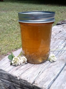 A mason jar filled with golden liquid sits on a weathered wooden surface outdoors, perfect for those looking to make flower jellies. Two small white clover flowers rest beside the jar, hinting at nature’s bounty. The grassy background blurs into a soft focus.