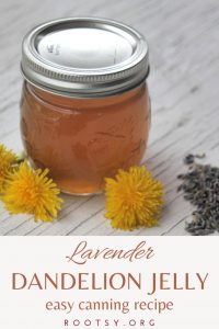 jar of lavender dandelion jelly on wooden table with fresh dandelions and dried lavender flowers