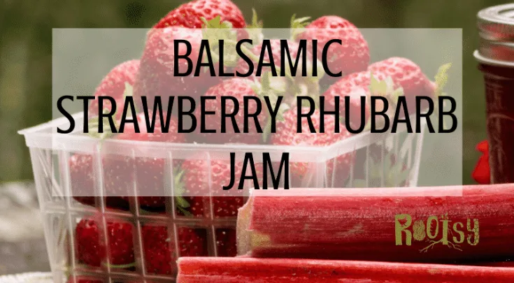 Balsamic Strawberry Rhubarb Jam