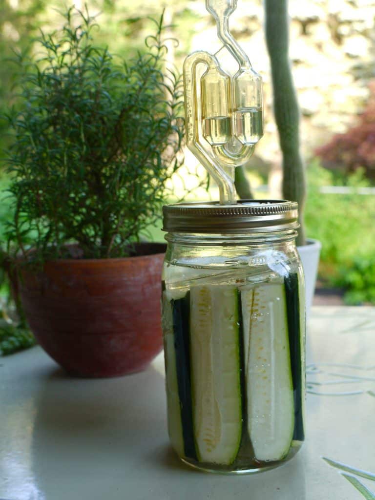 A jar of fermented vegetables with a fermentation airlock on top sits on a table. A potted plant is in the background, with greenery and blurred outdoor scenery visible beyond it.