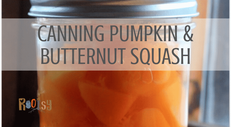 canning pumpkin and butternut squash