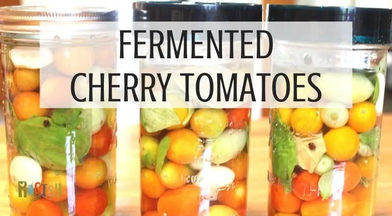 3 jars of tomatoes in a brine with fermentation lids and text overlay.