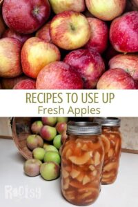 A collection of fresh apples is shown above text saying "Apple Recipes to Use Up Fresh Apples." Below, jars filled with preserved apple slices are displayed next to more fresh apples in a basket.