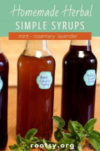 three herbal simple syrups with mints springs in front.