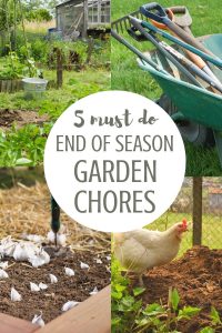 collage of end of gardening season garden chores