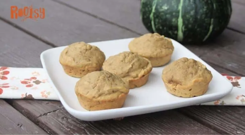 Muffins sitting on a white plate on top of a napkin with a green pumpkin in the background.