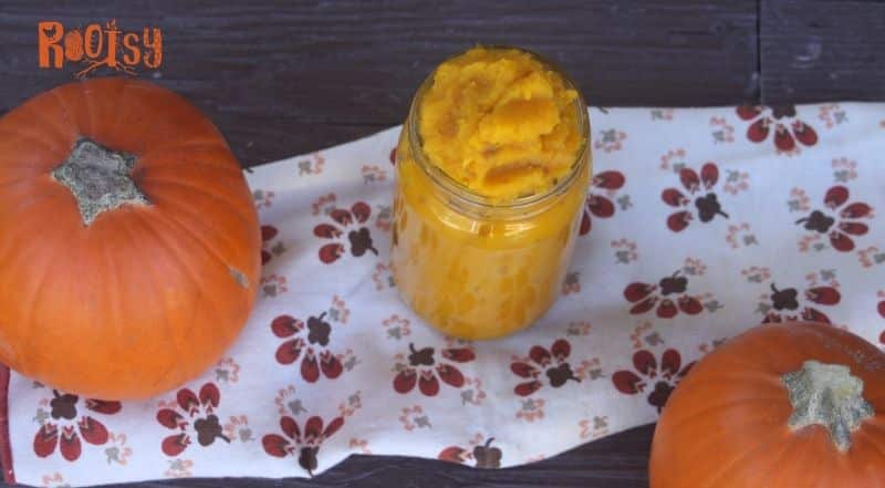 A glass jar full of pumpkin puree sitting on a napkin and surrounded by small pumpkins.