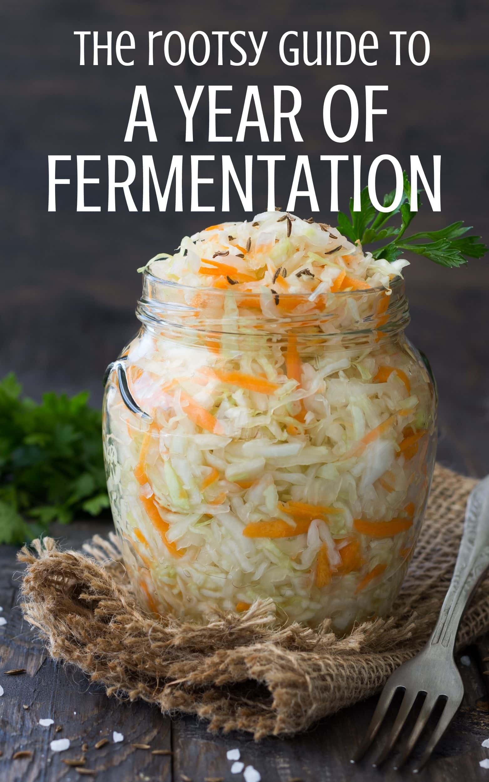 A glass jar filled with fermented food, mainly cabbage and carrots, rests on a rustic wooden surface with a metal fork beside it. The text above reads, "The Rootsy Guide to a Year of Fermentation." Parsley garnishes the jar.