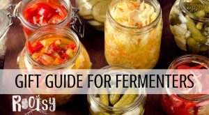 fermenting vegetables in fermentation jars
