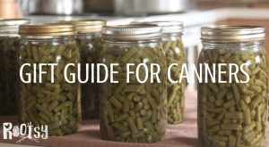 A row of canned green beans in glass jars with text overlay reading gift guide for canners.