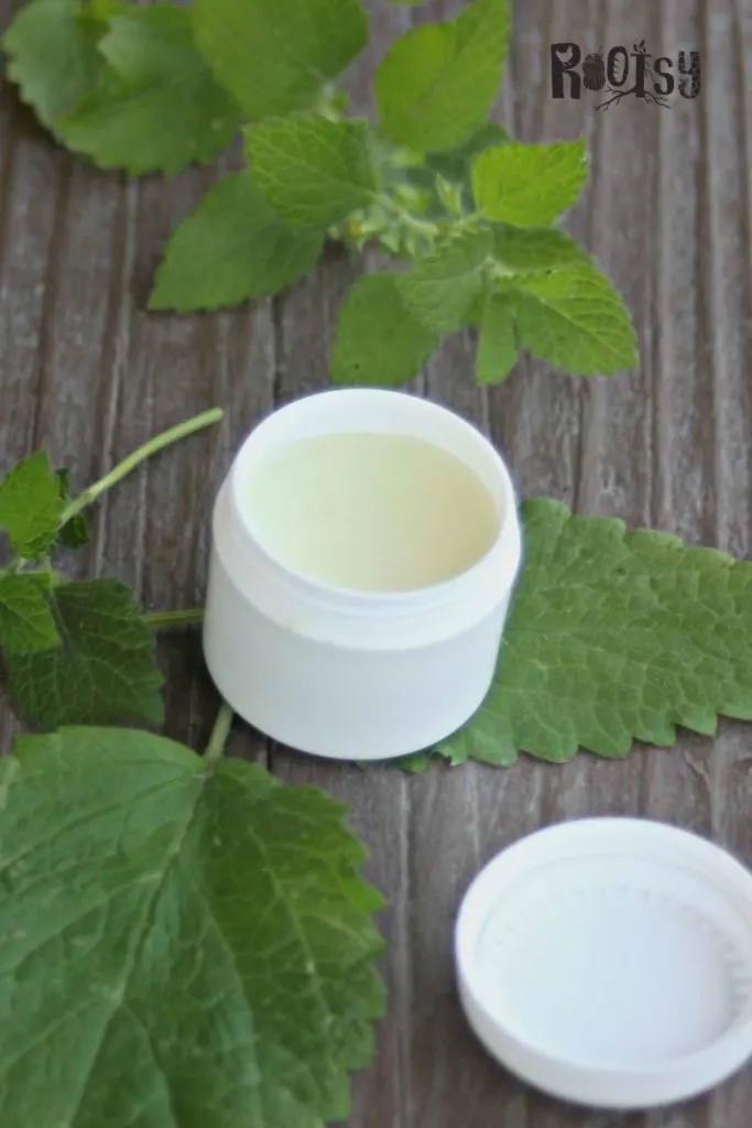 A round plastic pot full of lip balm surrounded by green herb leaves.