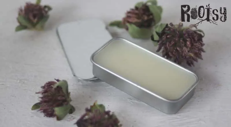 A rectangular metal tin full of homemade honey lip balm surrounded by dried flowers.