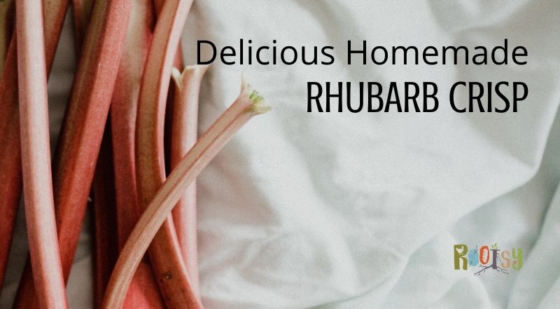 Delicious homemade rhubarb crisp