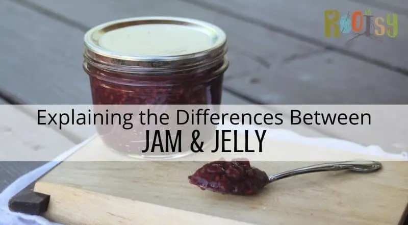A jar of jam sitting on a wooden cutting board with a spoon full of jam sitting next to it, a text overlay stating: explaining the difference between jam & jelly.