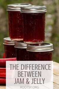 Jars of jelly stacked on top of each other with text overlay stating: the difference between jam & jelly.