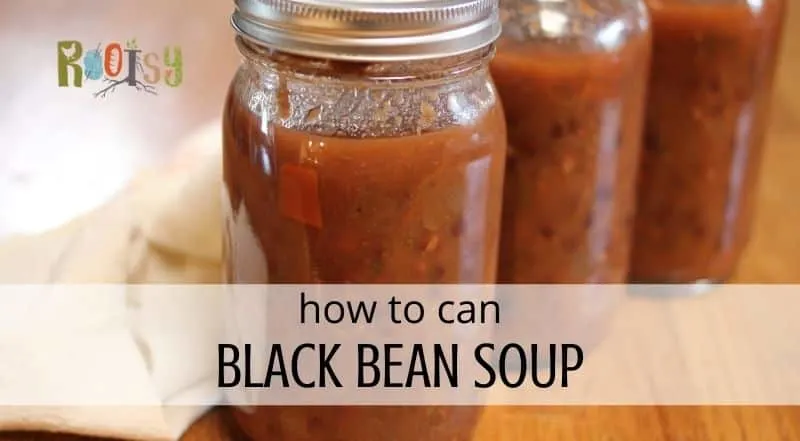 quart jars home canned black beans soup 