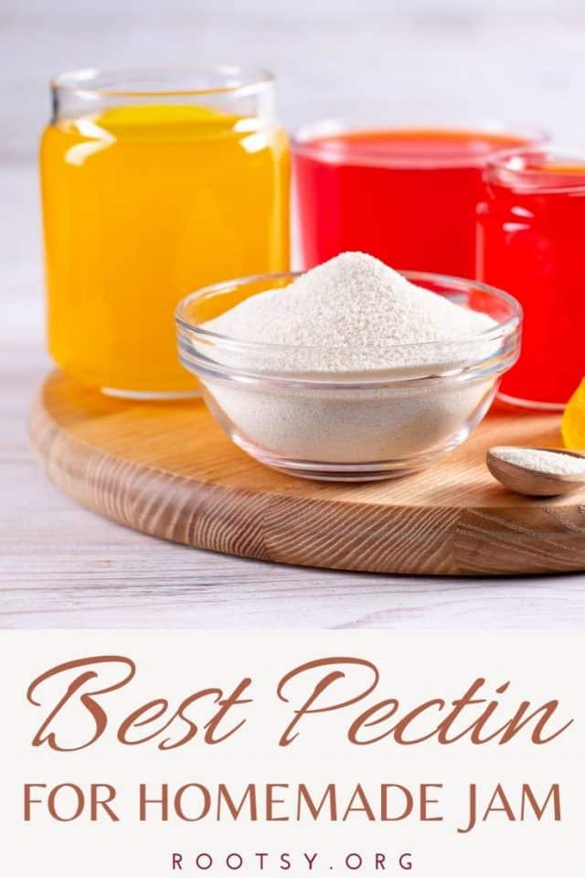 types of pectin pin 3 - Rootsy Network