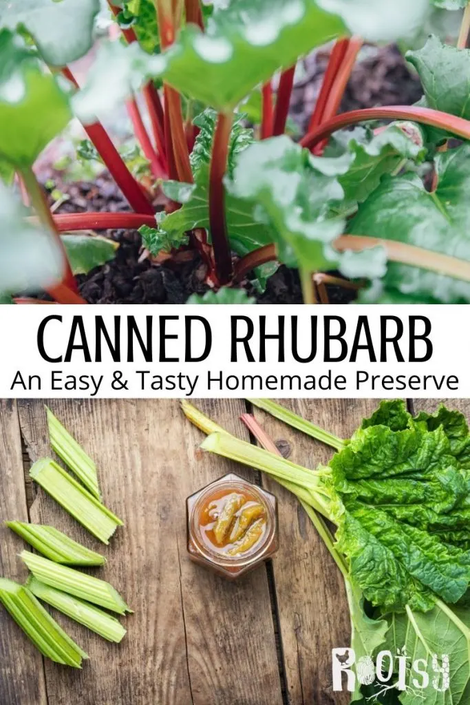 An image of rhubarb stalks growing in the dirt stacked on top of block of text stating: Canned Rhubarb an Easy and Tasty homemade preserve, stacked on top of an image of an open jar of canned rhubarb as seen from above surrounded by fresh stalks of rhubarb.