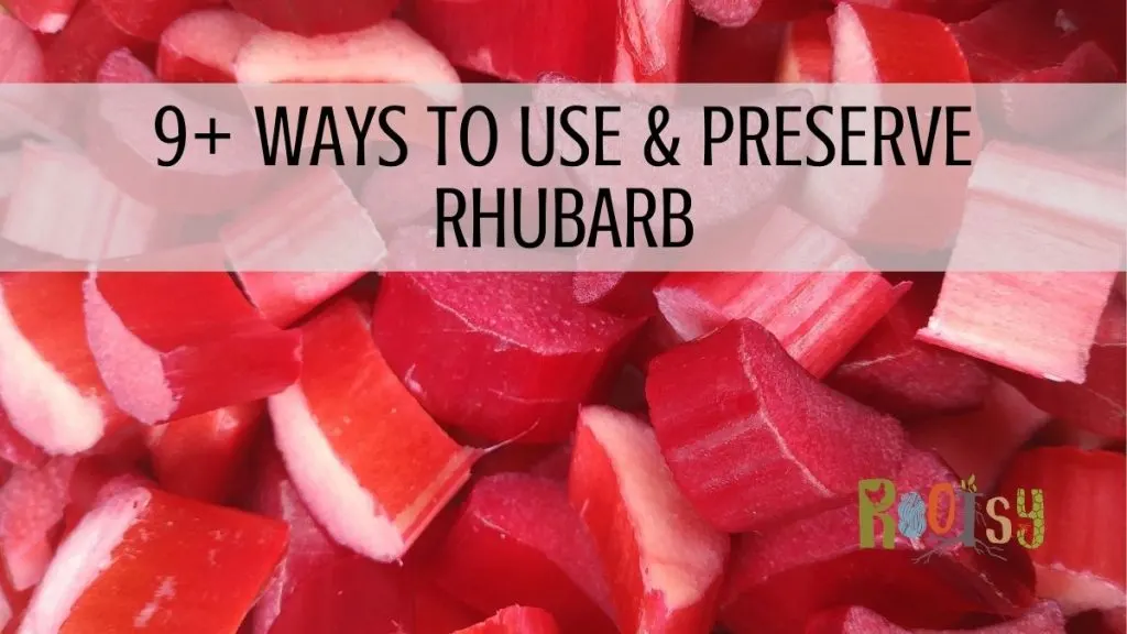 9+ Ways to Use and Preserve Rhubarb