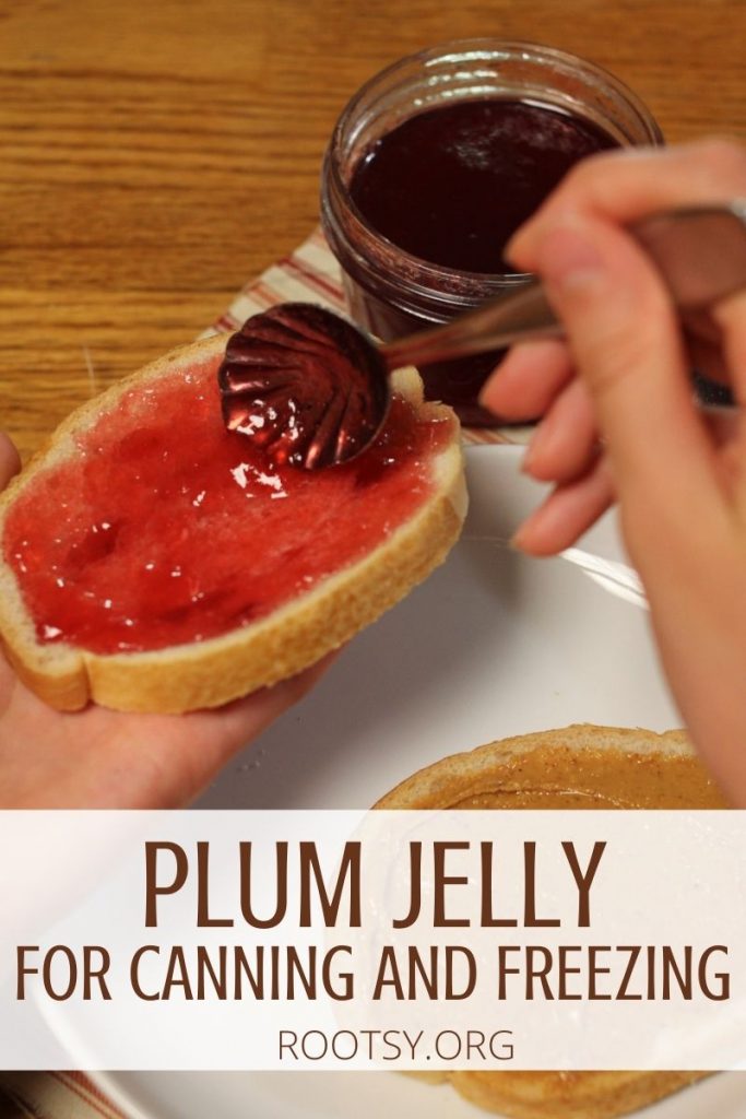 homemade plum jelly spread onto a piece of bread