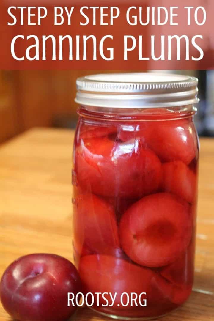 Canning Plums Rootsy Network