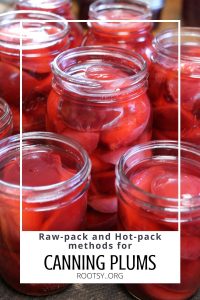 open jars of home canned plums
