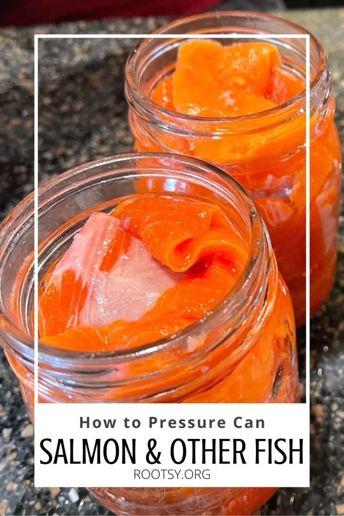 How to Pressure Can Salmon and Other Fish