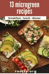 open face sandwiches with avocado, tomato, and microgreens