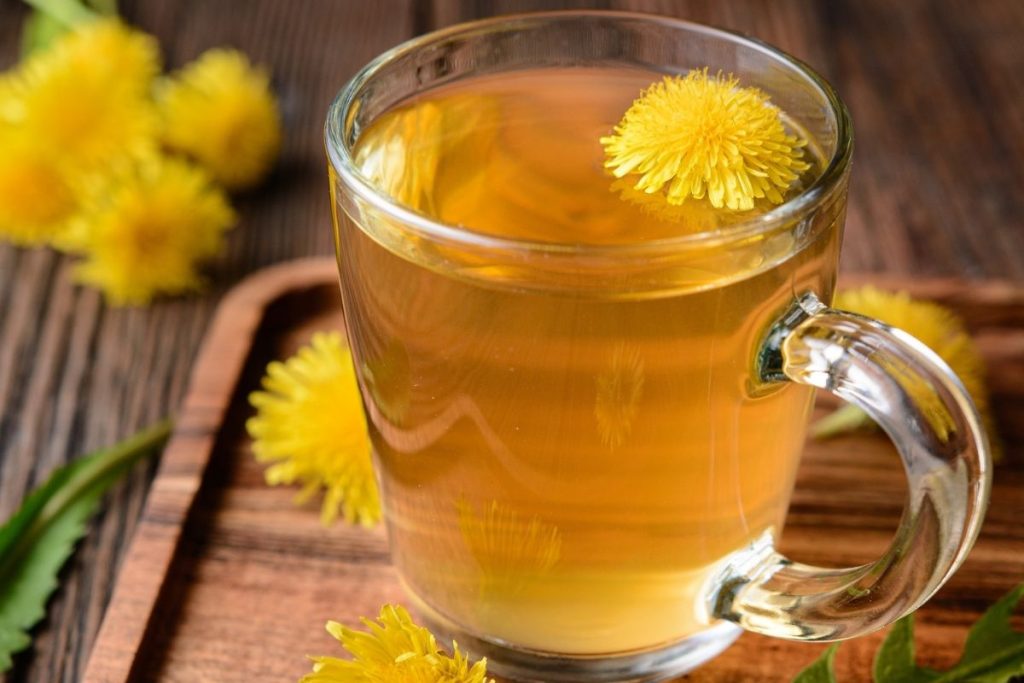 A clear glass mug full of herbal tea with a dandelion blossom floating on top.