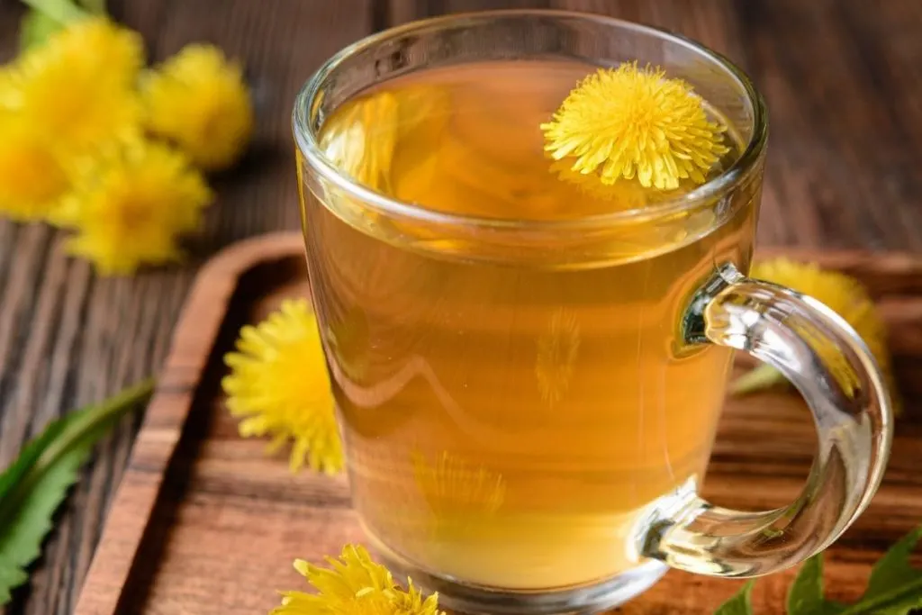 A clear glass mug full of herbal tea with a dandelion blossom floating on top.