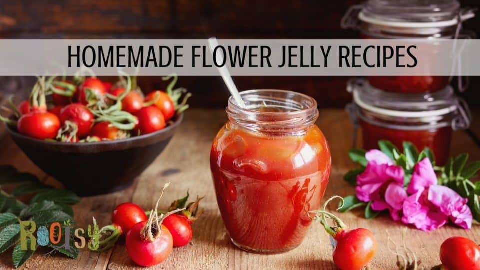 Make Flower Jellies to Preserve Blooms as Food Rootsy Network