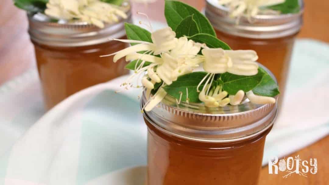 Make Flower Jellies to Preserve Blooms as Food Rootsy Network