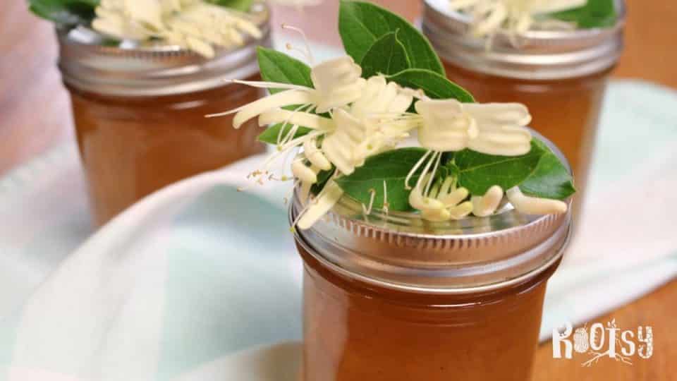 Make Flower Jellies to Preserve Blooms as Food Rootsy Network