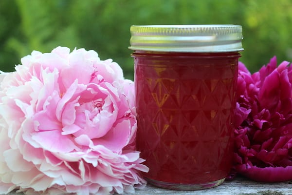 A jar of red jelly, hinting at the art of Make Flower Jellies, sits with a metal lid nestled between a light pink peony on the left and a dark pink peony on the right, set against a blurred green background.